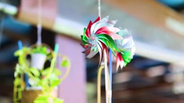 Canlı bir fırıldak dönüyor Phuket, Tayland 'ın tropikal esintisinde, yemyeşil ve ılık güneş ışığıyla çevrili.