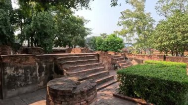 Tarihi park kalıntıları arasında huzurlu bir yürüyüş