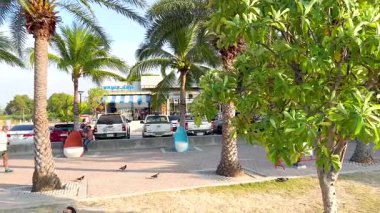 İnsanlar manzaralı bir sahil yolunda koşuyor.