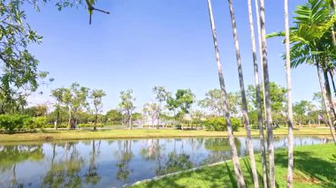Bangkok 'ta açık mavi gökyüzünün altında yemyeşil ve uzun ağaçlarla çevrili sakin bir gölet manzarası.