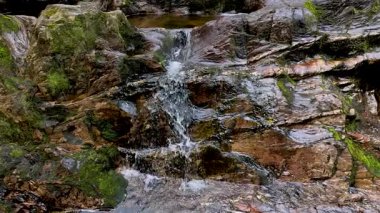 Bereketli ormanda çağlayan şelale.