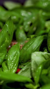 Biftek ve fesleğen yakın çekim iyi aydınlatılmış bir mutfak ortamında spatulayla kızartılıyor.