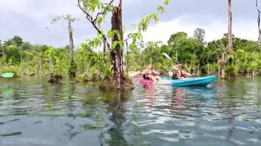 Kayakçılar yemyeşil sularda berrak sularda gezinirler.