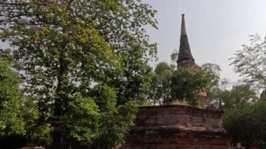 Ağaçlarla çevrili tarihi bir tapınağın sabit manzarası