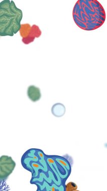 Canlı mercan ve deniz elementleri beyaz bir zemin üzerinde zarafetle yüzerler ve sualtında sakin bir ortam oluştururlar.