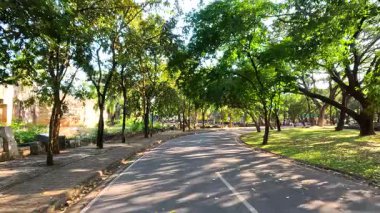 Yeşilliklerle çevrili huzurlu bir yol.