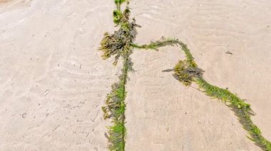 Tekne Fife, İskoçya limanına yanaşıyor.