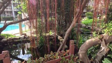 Göletli huzurlu bir bahçenin zaman atlaması