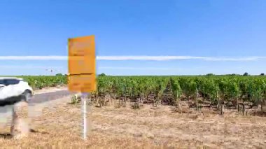 Fransa 'da bir araba üzüm bağından geçiyor.