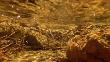 Bir akıntının zaman içindeki su altı perspektifi