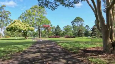 Değişen gölgeleri olan bir parkın hızlandırılması