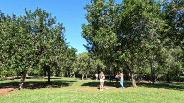 İnsanlar parkta kanguru ile etkileşime geçiyorlar.