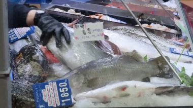 Melbourne 'daki Kraliçe Victoria pazarında balık düzenleniyor.