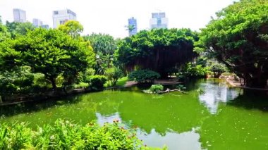 Bereketli yeşillik sakin bir gölet manzarasını çevreledi