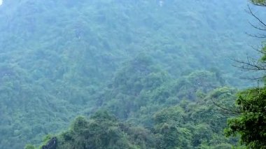 Yeşil dağların arasından akan huzurlu bir nehir.