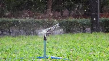 Yeşil bahçeyi sulayan bir fıskiye dizisi