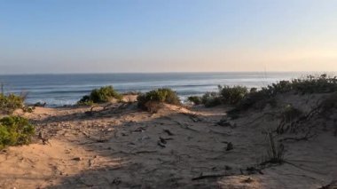 Okyanus kıyısındaki kum tepeleri boyunca yürüyorum