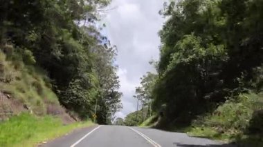 Bir araba dolambaçlı bir orman yolunda ilerliyor.