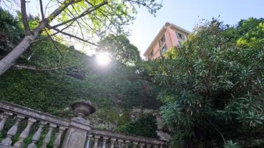 Bahçedeki ağaçların arasından parlayan güneş ışığı