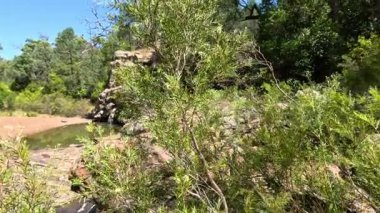 Kayalık, ağaçlık bir alanda huzurlu bir yürüyüş..