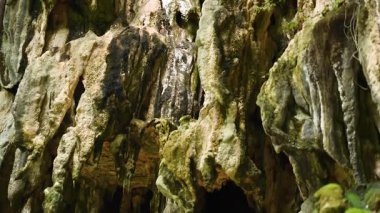 Turistler manzaralı mağaralardaki sarkıtları takdir ederler.