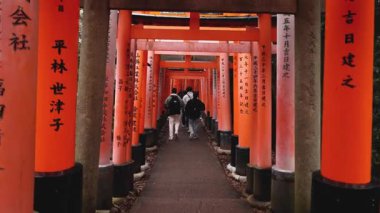 Geleneksel Japon torii kapılarıyla dolu bir yürüyüş yolu..