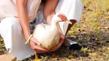 Güneşli bir çiftlik ortamında ördeği dikkatlice tutan bir kadın, doğayla sakin bir etkileşim sergiliyor.
