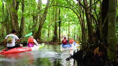Bereketli Krabi su yollarında kürek çekme macerası