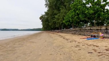 Tayland, Krabi 'de yemyeşil verimli kumlu bir sahil.