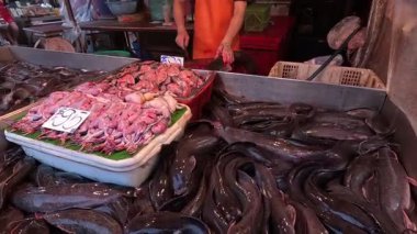 Aktif tedarikçi ile canlı balık pazarı