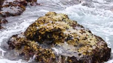 Dinamik okyanus dalgaları engebeli kayalara çarpar ve Avustralya 'nın Büyük Okyanus Yolu boyunca doğanın gücünü ve güzelliğini gösterir.