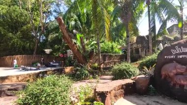 Yeşillik suaygırı işaretini çevrelemiş.