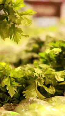 Bir el iyi aydınlatılmış bir süpermarkette taze kereviz inceler, canlı yeşillikler ve taze dokular vurgular