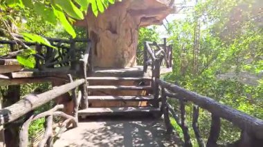 Khao Kheow Hayvanat Bahçesi 'nde bir ağaç evi keşfetmek.