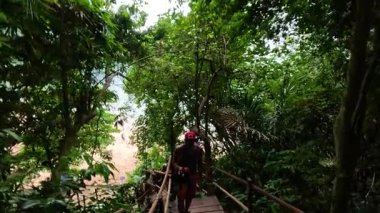 Zengin bir orman yolunda yürüyen ziyaretçiler