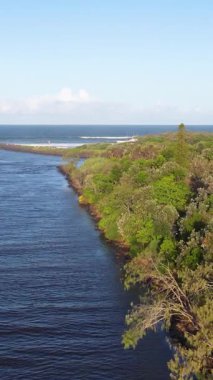 Aerial view captures the tranquil flow of Brunswick River towards the ocean under clear skies, surrounded by lush greenery