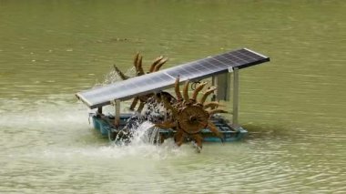 A solar-powered water wheel aerator operates in a pond, enhancing water quality through sustainable energy