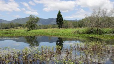 Tranquil scene of nature and reflection