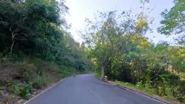 A serene drive through Chonburi's verdant roads, capturing lush greenery and a tranquil atmosphere under soft daylight