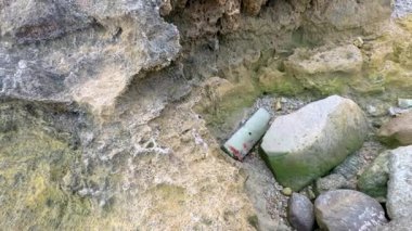 A rocky shoreline with algae-covered stones and debris, captured in natural daylight, showcasing erosion and coastal textures