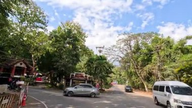 Araçlar ağaçlık bir yolda ilerliyor.