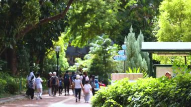 Grup gezintileri yemyeşil park ortamında