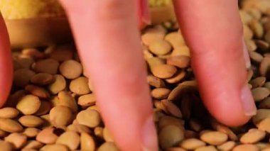 Düz bir yüzeyde mercimek sıralayan ellerin yakın çekimi sıcak ışıklandırma, renklendirme ve hareket