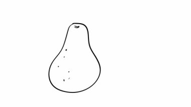Avokadonun bir bütünden dilimlenmiş basit ve temiz bir tasarıma evrimleşmesinin çizgi çizimi