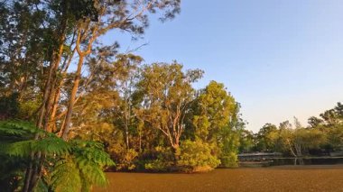 Peaceful scenery at Gold Coast Botanic Gardens