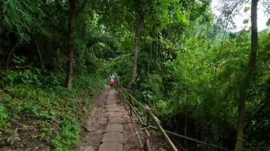 İnsanlar yemyeşil orman yolunda yürüyor.
