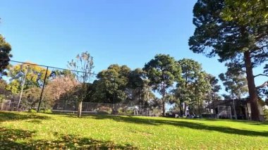 Tennis court surrounded by trees in Melbourne park