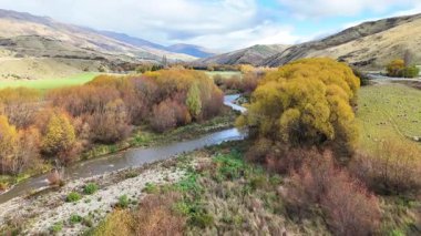 Berrak gökyüzünün altında canlı sonbahar yapraklarıyla çevrili dolambaçlı bir nehrin havadan görünüşü doğal güzellik ve sükuneti gözler önüne seriyor.
