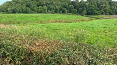 Anıt manzarası ve çevre manzarası