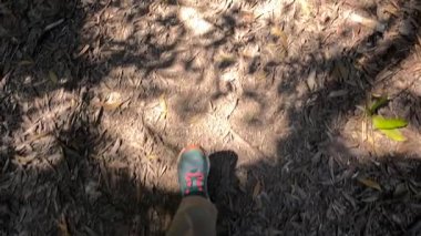 Bir insan Daintree 'de güneş lekeli orman yolunda yürüyor, canlı yapraklar ve doğal dokular sergiliyor.